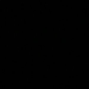 Meet your Posher, Dianne